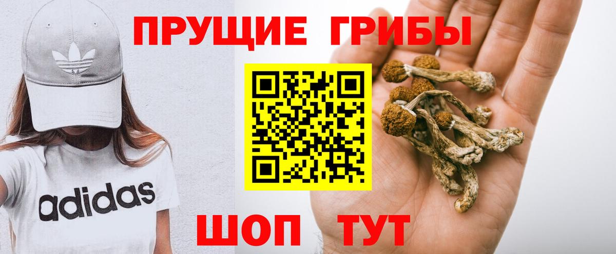 Псилоцибиновые грибы ЛСД  Псилоцибиновые грибы ЛСД  магазин  наркотиков  Среднеуральск  Вход с VPN 